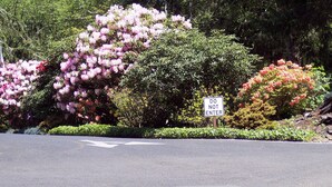 Eine Straße mit einem 'DO NOT ENTER'-Schild und üppigen, blühenden Büschen.