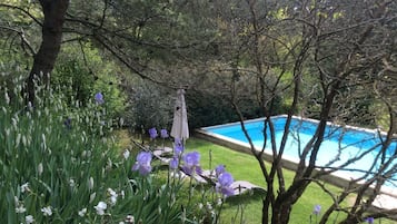 Piscina all'aperto, ombrelloni da piscina, lettini