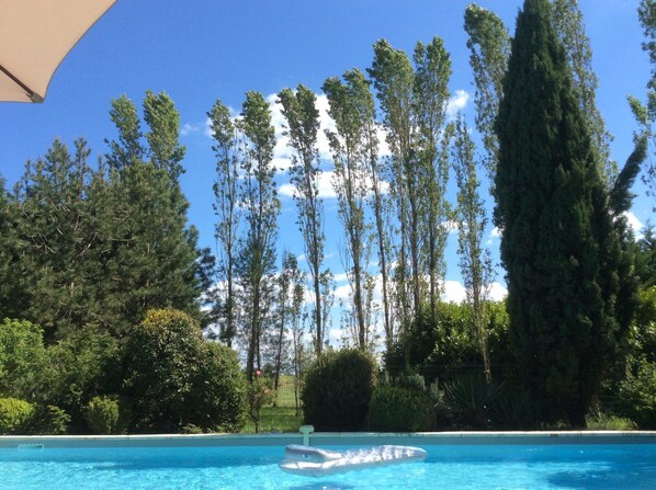 Outdoor pool, pool umbrellas, pool loungers
