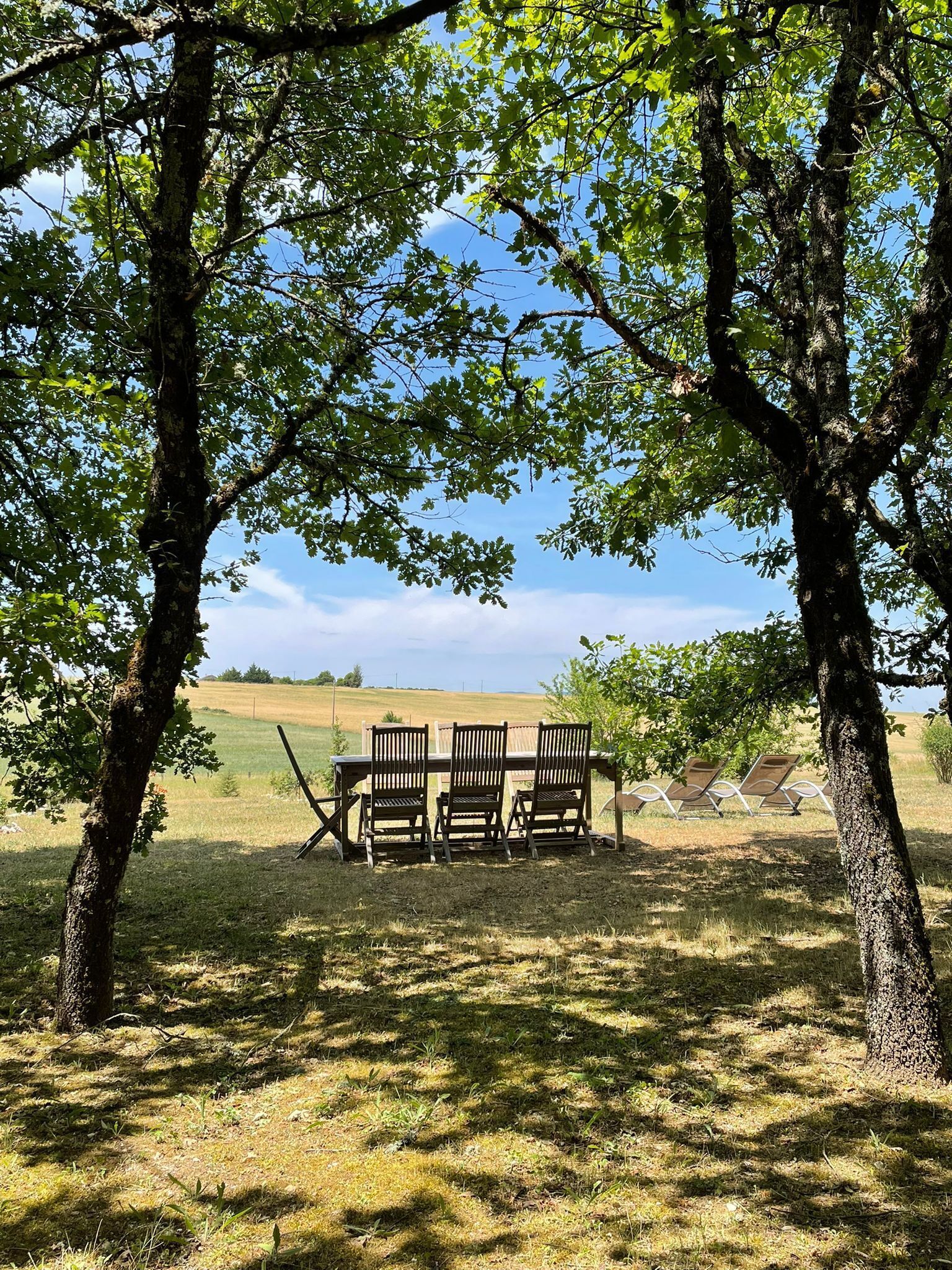 Ropa de cama de alta calidad, cortinas blackout y insonorización 