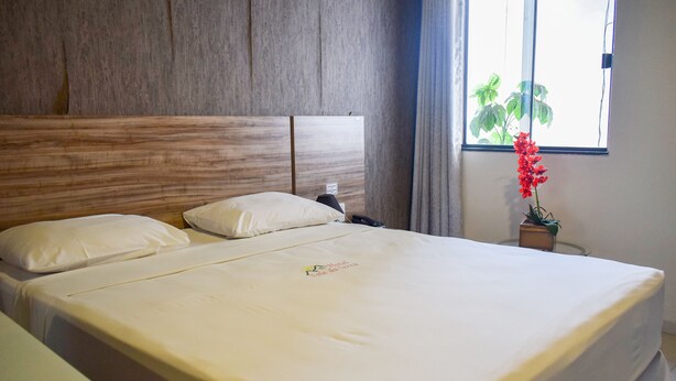 A hotel room with a large bed, a wooden headboard, a bedside table, and a potted plant by the window. - Hotel Vale Da Serra (Parauapebas)