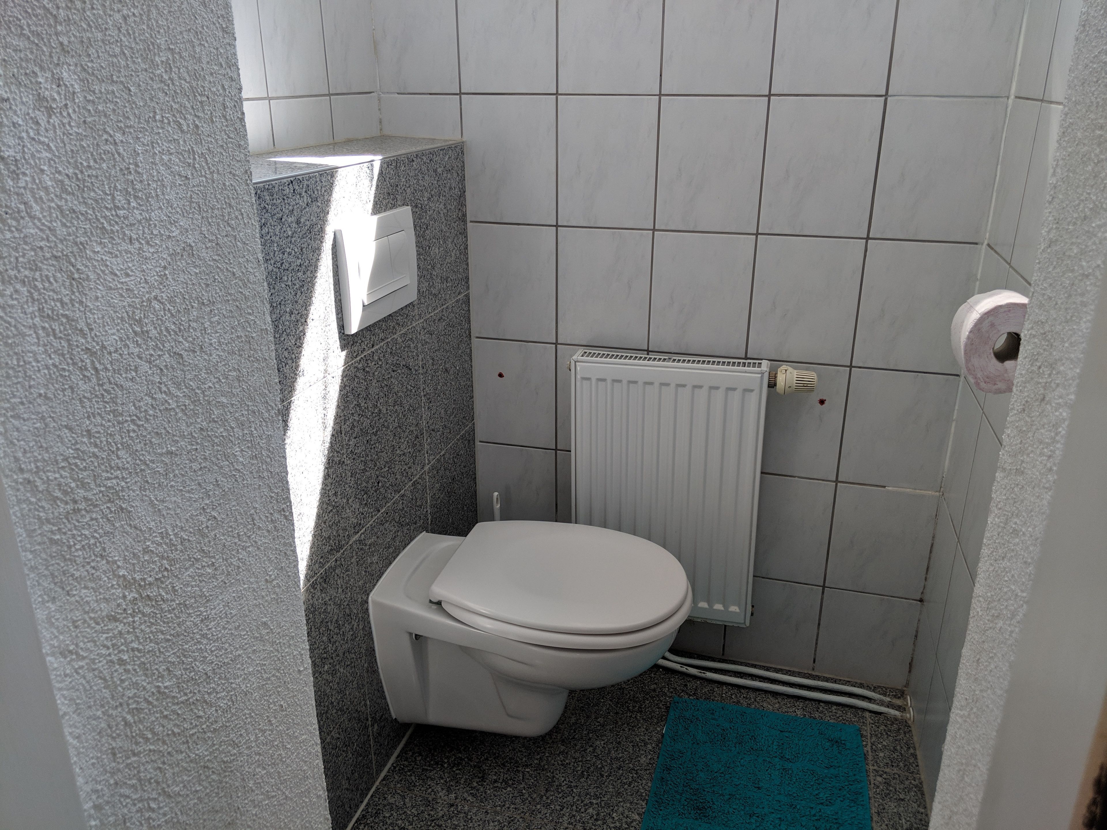 A small, compact bathroom with a toilet, a radiator, and a towel rack.
