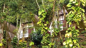 A traditional wooden house with a thatched roof, surrounded by dense greenery and trees. - Hotel Fazenda Caluje (Engenheiro Paulo de Frontin)