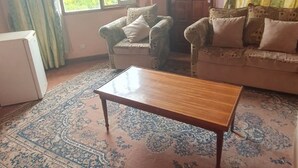 Una sala de estar con un sofá, una mesa de centro de madera y un tapete estampado.