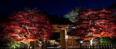 Majoituspaikan julkisivu