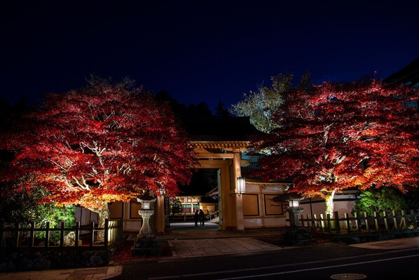 A traditional Japanese gate with red foliage trees on either side, a stone lantern, and a wooden fence. - Koyasan Sainan-In (Koya)