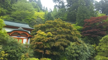 住宿地面