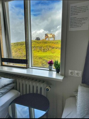 Twin Room, Shared Bathroom | Desk, blackout drapes, free cribs/infant beds, free WiFi - Guesthouse Hafnarnes (Höfn)