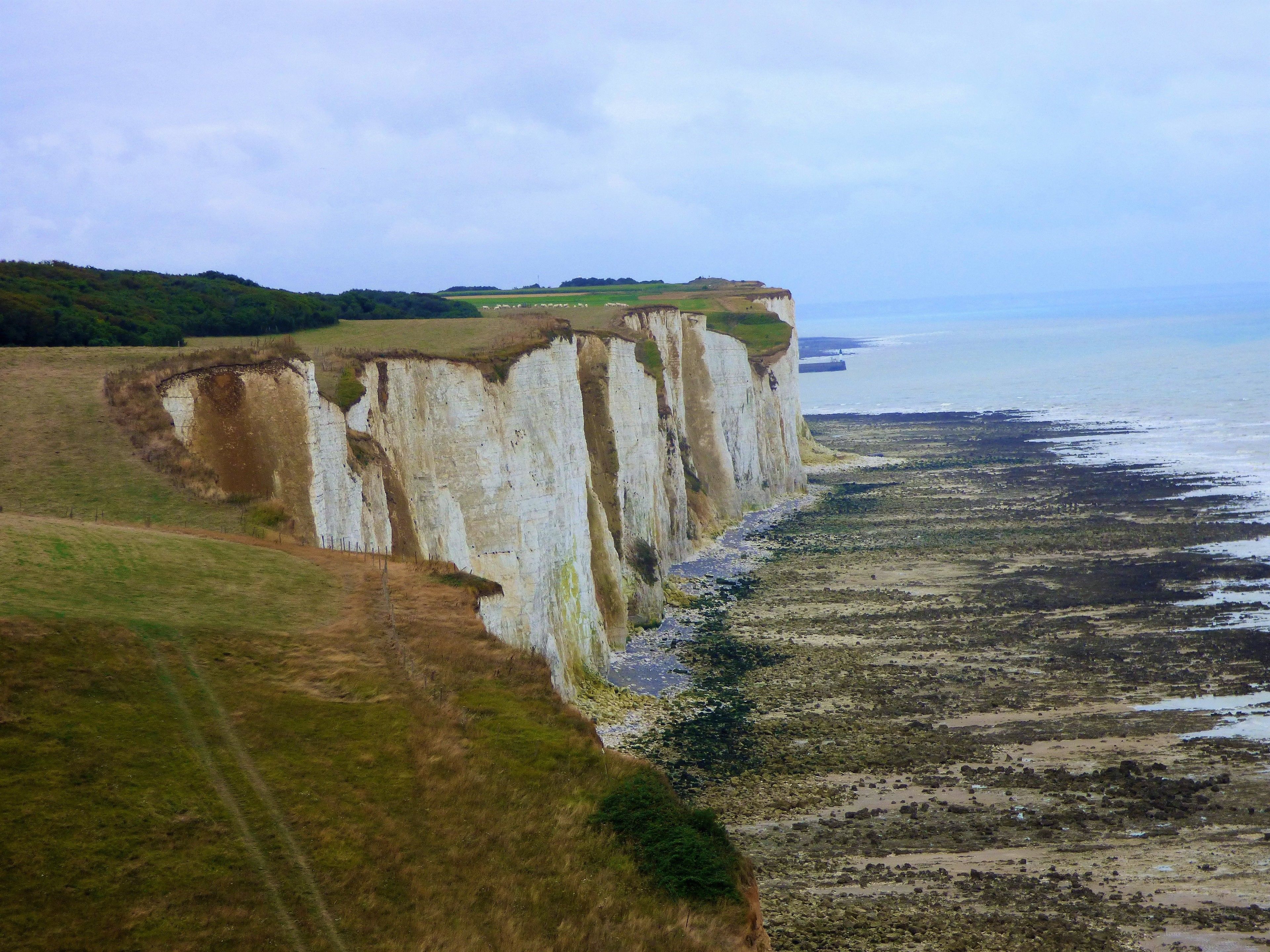 A coastal landscape with cliffs and a beach.