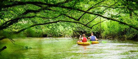 Two people kayaking on a river surrounded by dense green foliage.