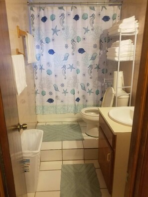Hair dryer, towels, toilet paper
