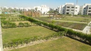 Taman