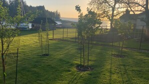 Een gazon met jonge bomen, een omheining en een huis op de achtergrond.