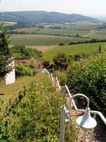 Paisagem rural com uma trilha que leva a um edifício branco com telhado vermelho, cercado por vegetação e campos.