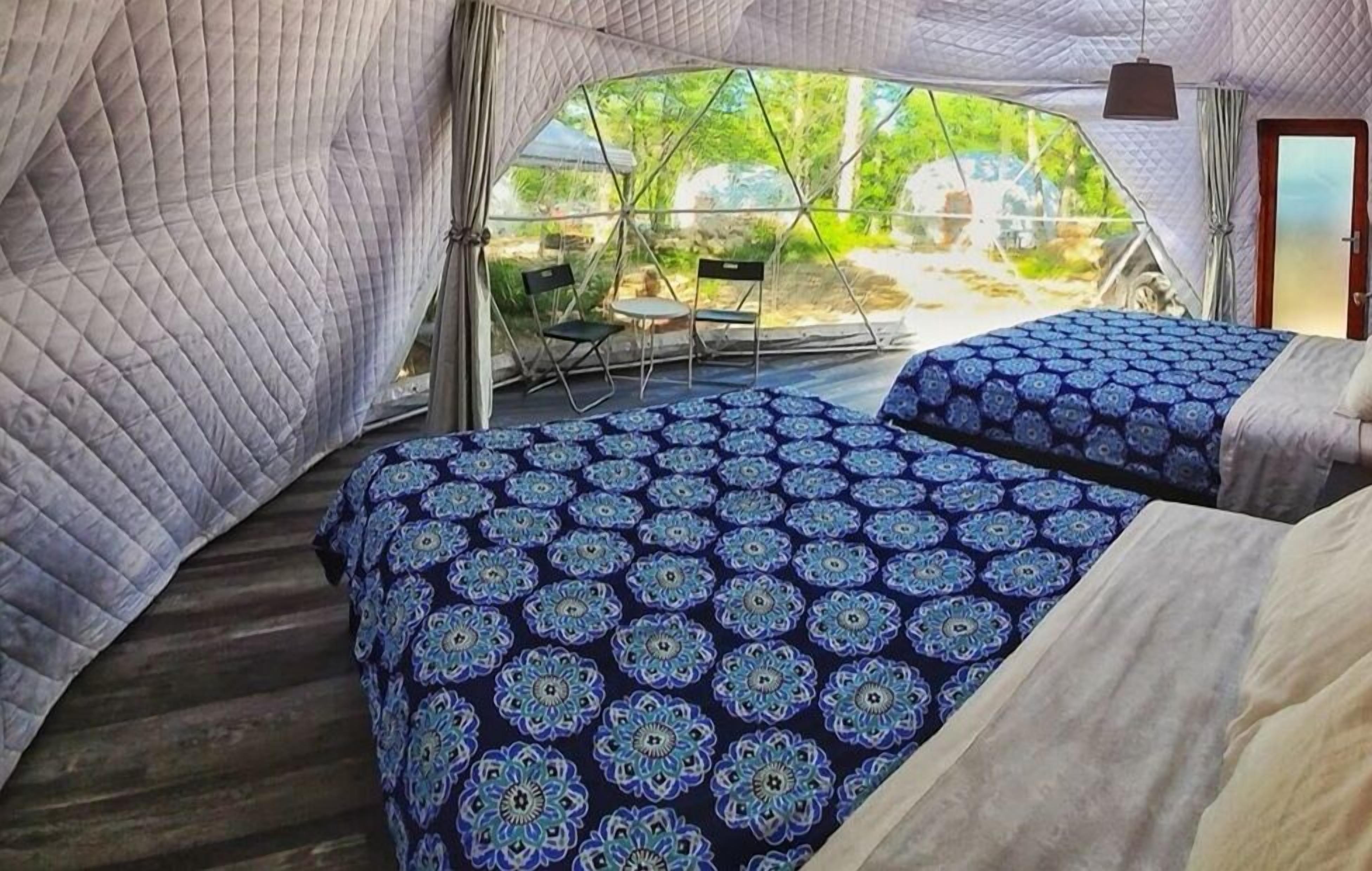 family studio suite, 2 queen beds | 1 bedroom, individually furnished