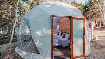 Family Studio Suite, 2 Queen Beds