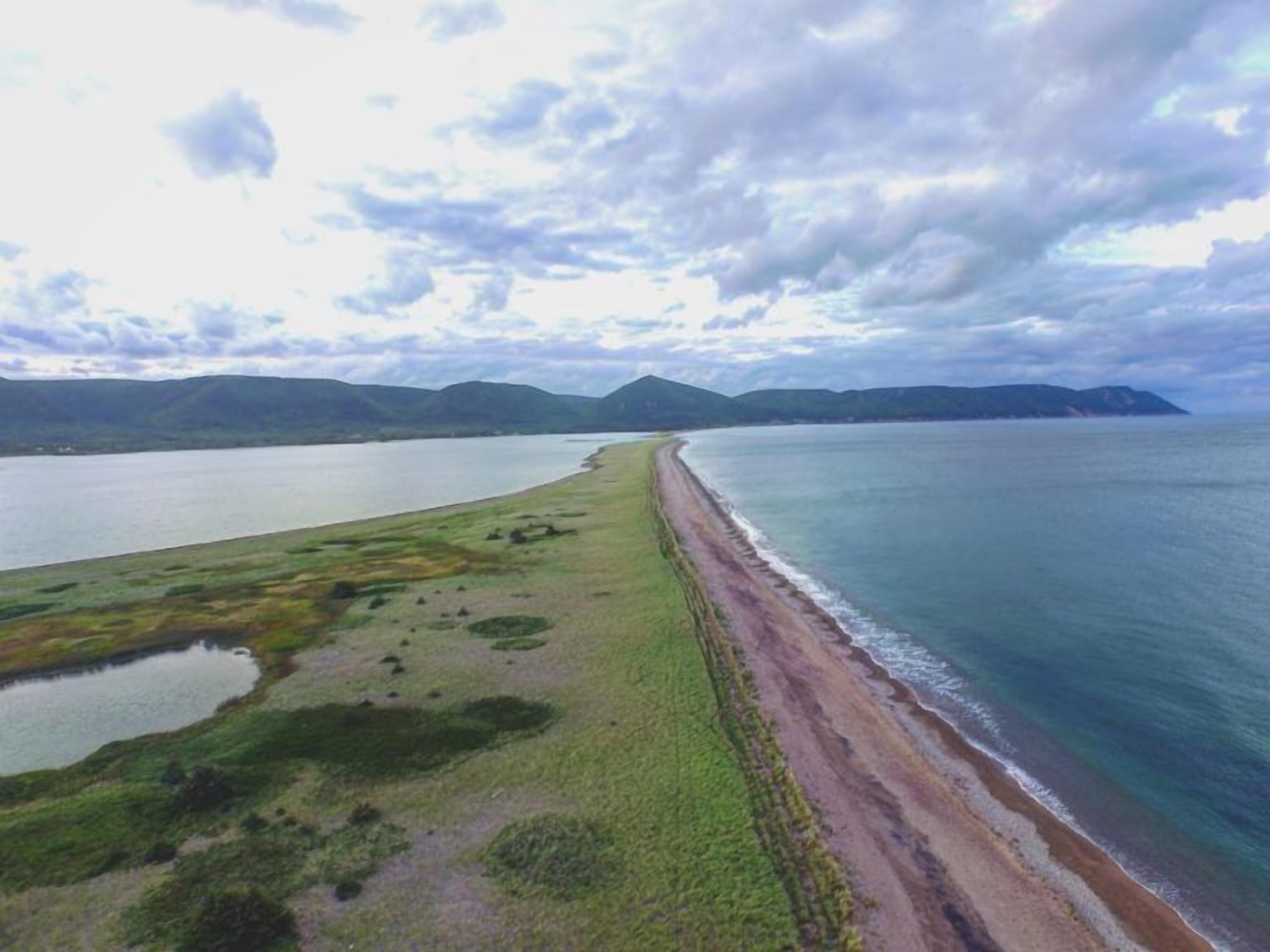 Un paysage côtier comprenant une plage, des zones herbeuses et une étendue d’eau.