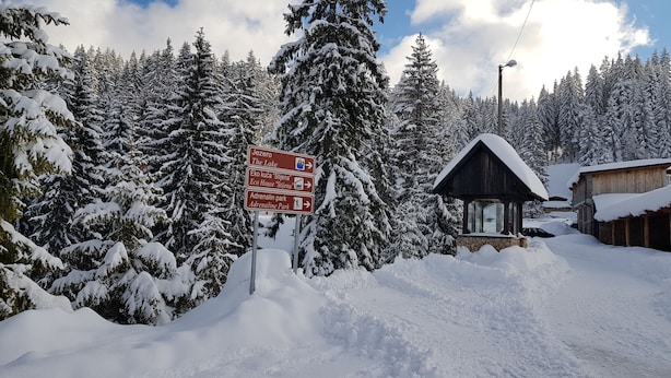 Sneeuw- en skisporten