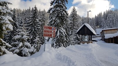 New Age Apartments Vlašić