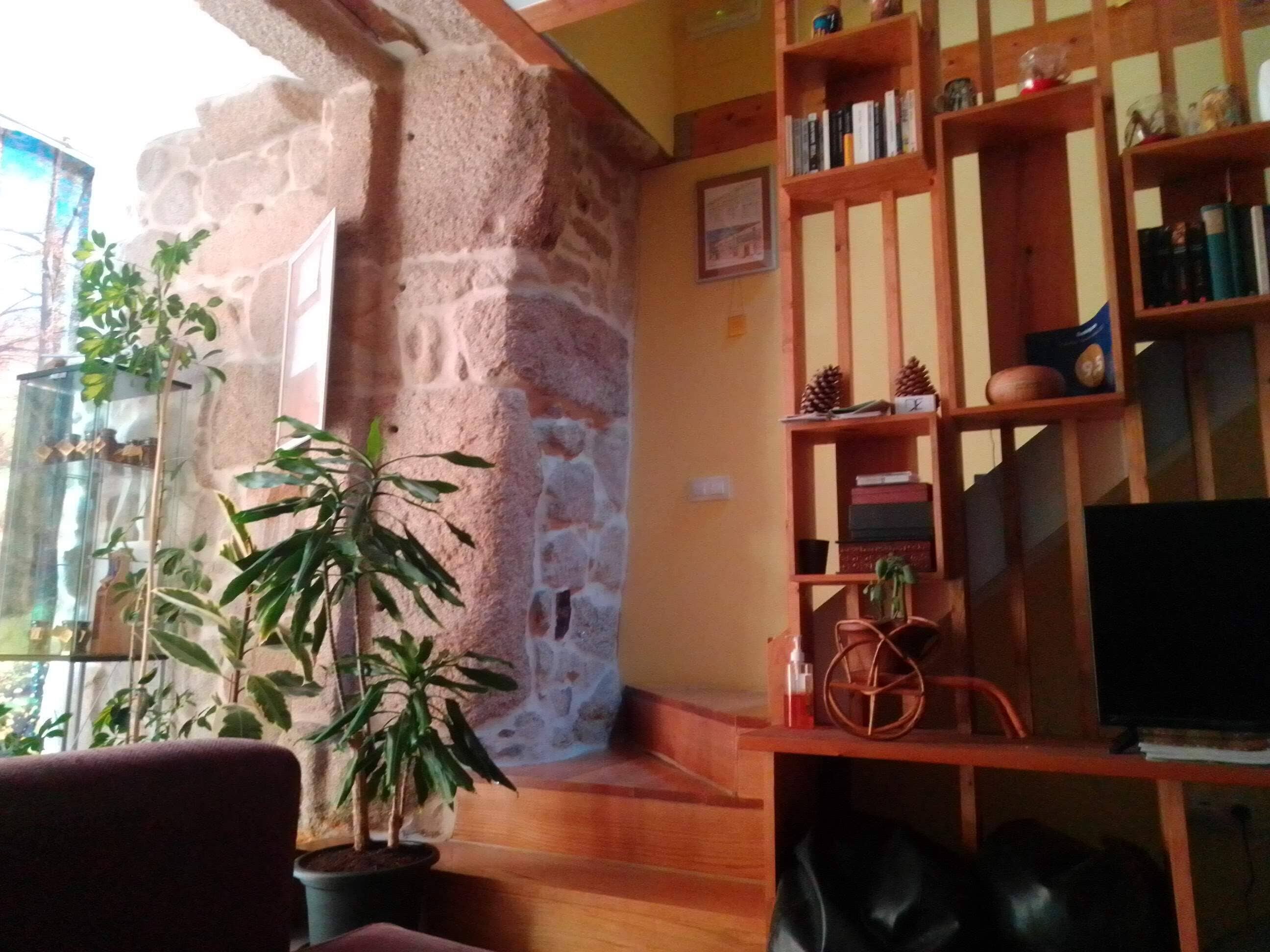 A cozy living room with a stone wall, wooden shelves, and a potted plant.
