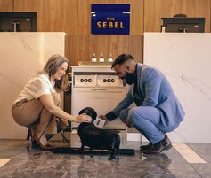 Servicios para mascotas