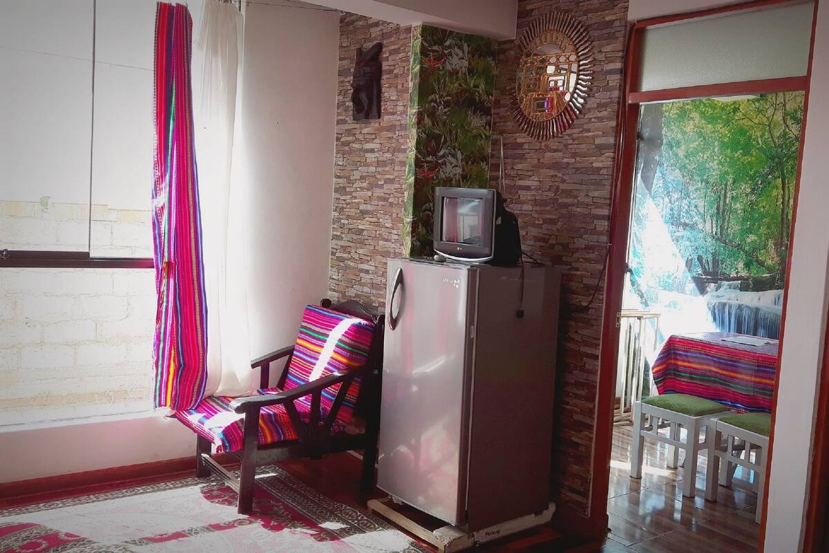 Une pièce avec un mur en pierre, un téléviseur posé sur un meuble, une chaise colorée et une vue sur la verdure par la fenêtre.