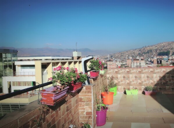 Terraza o patio