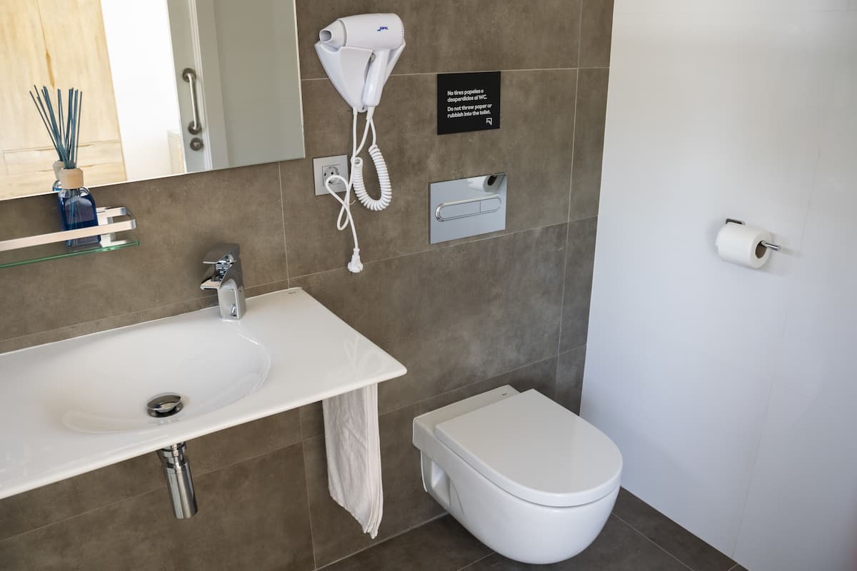 shower, free toiletries, hair dryer, towels