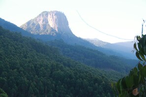 Nicht klassifiziertes Bild, 5 von 10, Schaltfläche