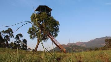 Área da propriedade