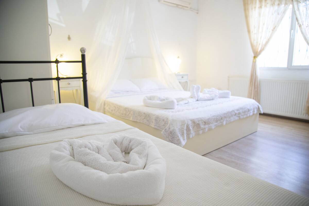 A bedroom with two beds, a canopy bed, and a white color scheme.