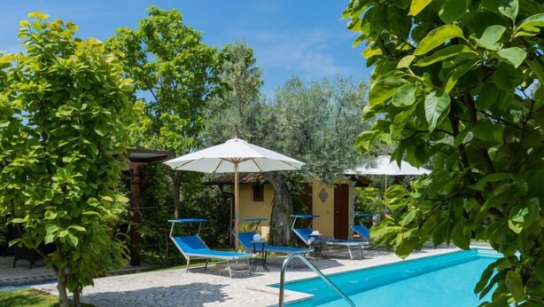 A swimming pool with lounge chairs and umbrellas, surrounded by greenery and a stone pathway. - Olive Grove Sabina by Interhome (Castelnuovo di Farfa)