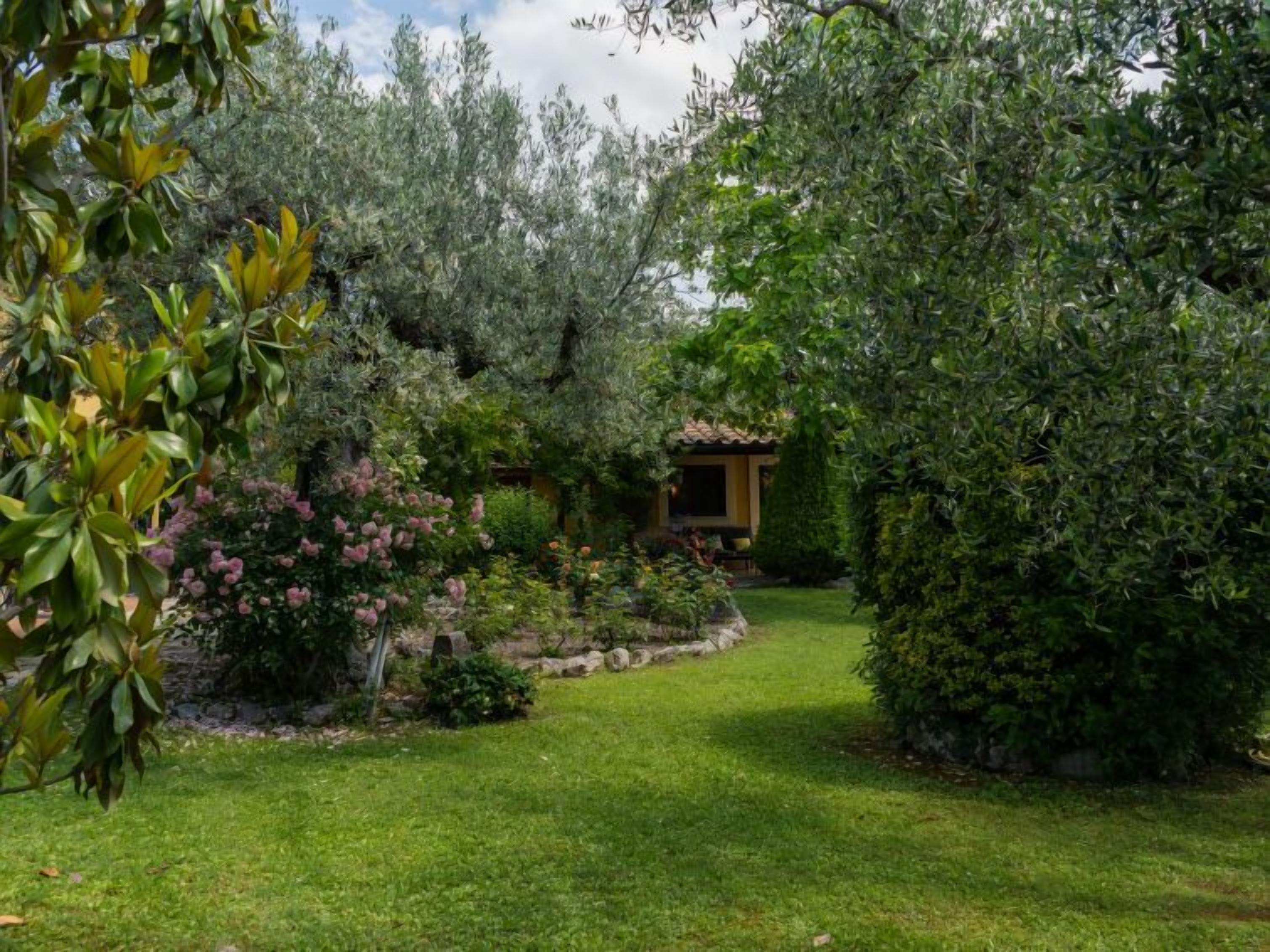 A garden with a small building, surrounded by various plants and trees.
