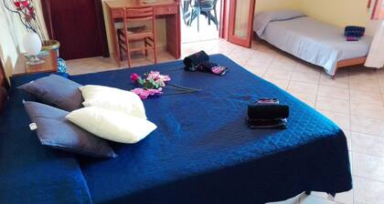 Paradise Bed & Breakfast