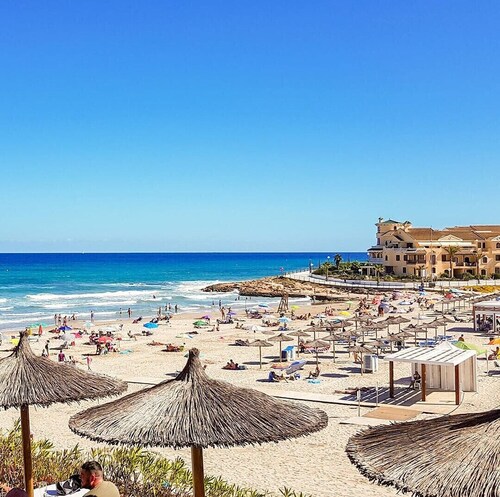 3010 Silene II - 3010