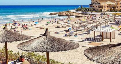 3010 Silene II - 3010