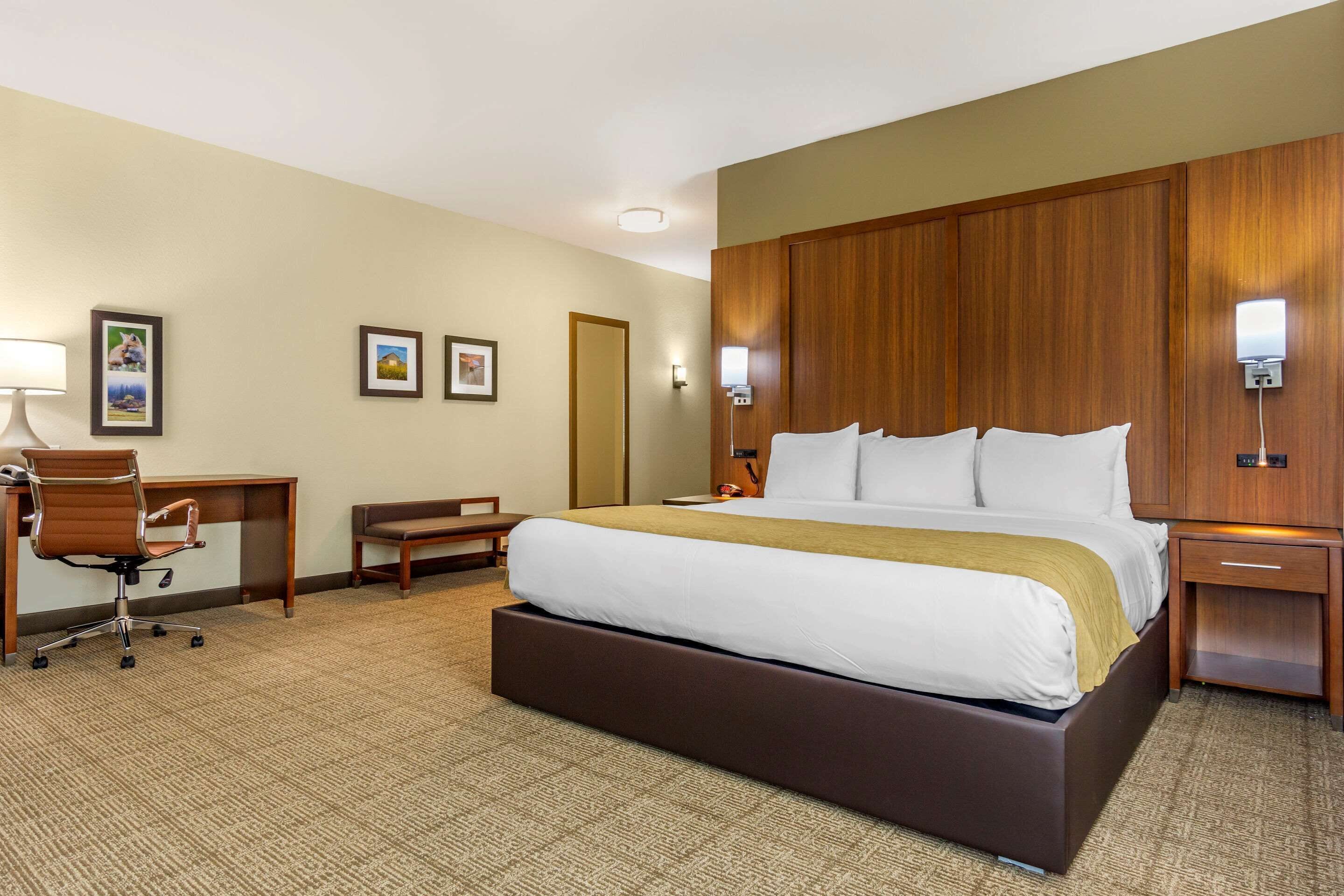 Room, 1 King Bed, Accessible, Non Smoking | Hypo-allergenic bedding, in-room safe, desk, blackout curtains