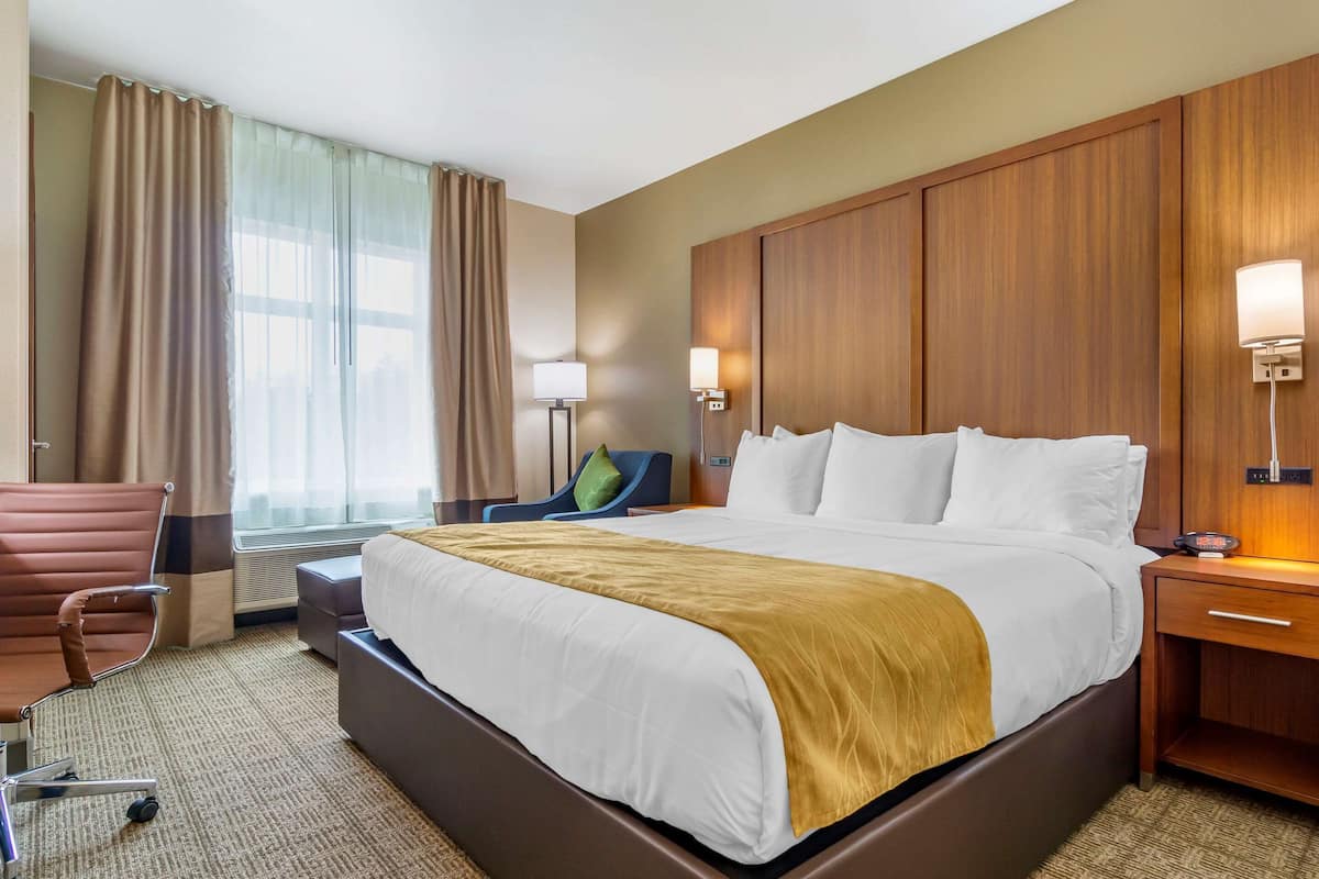 Standaard kamer, 1 kingsize bed, niet-roken | Hypoallergeen beddengoed, een kluis op de kamer, een bureau