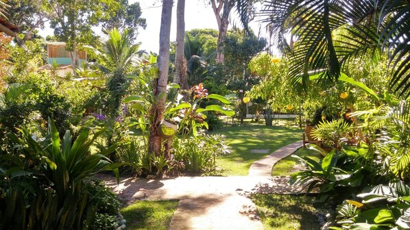Jardim