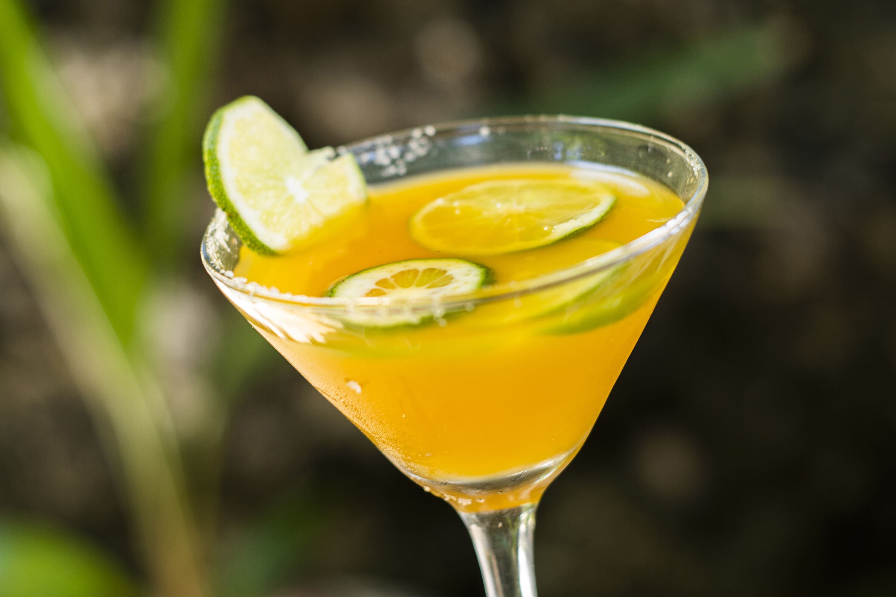 Photo - Isla Tijereto