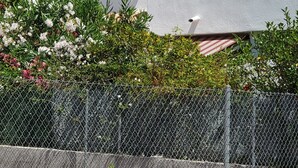 Un edificio bianco con tetto in tegole, un'antenna parabolica e un balcone con ringhiera bianca.