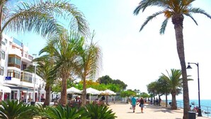 Una passeggiata con palme, posti a sedere all'aperto e vista sul lungomare.