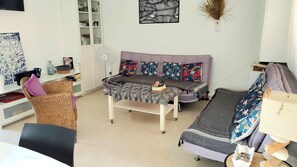 Télévision, lecteur de DVD, livres