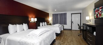 레드 루프 플러스+ 해먼드