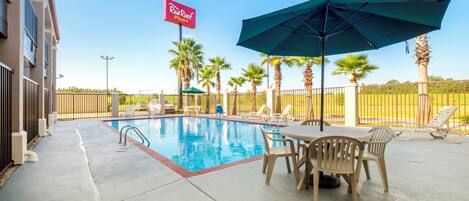 An outdoor swimming pool with lounge chairs and umbrellas, surrounded by palm trees and a fence.