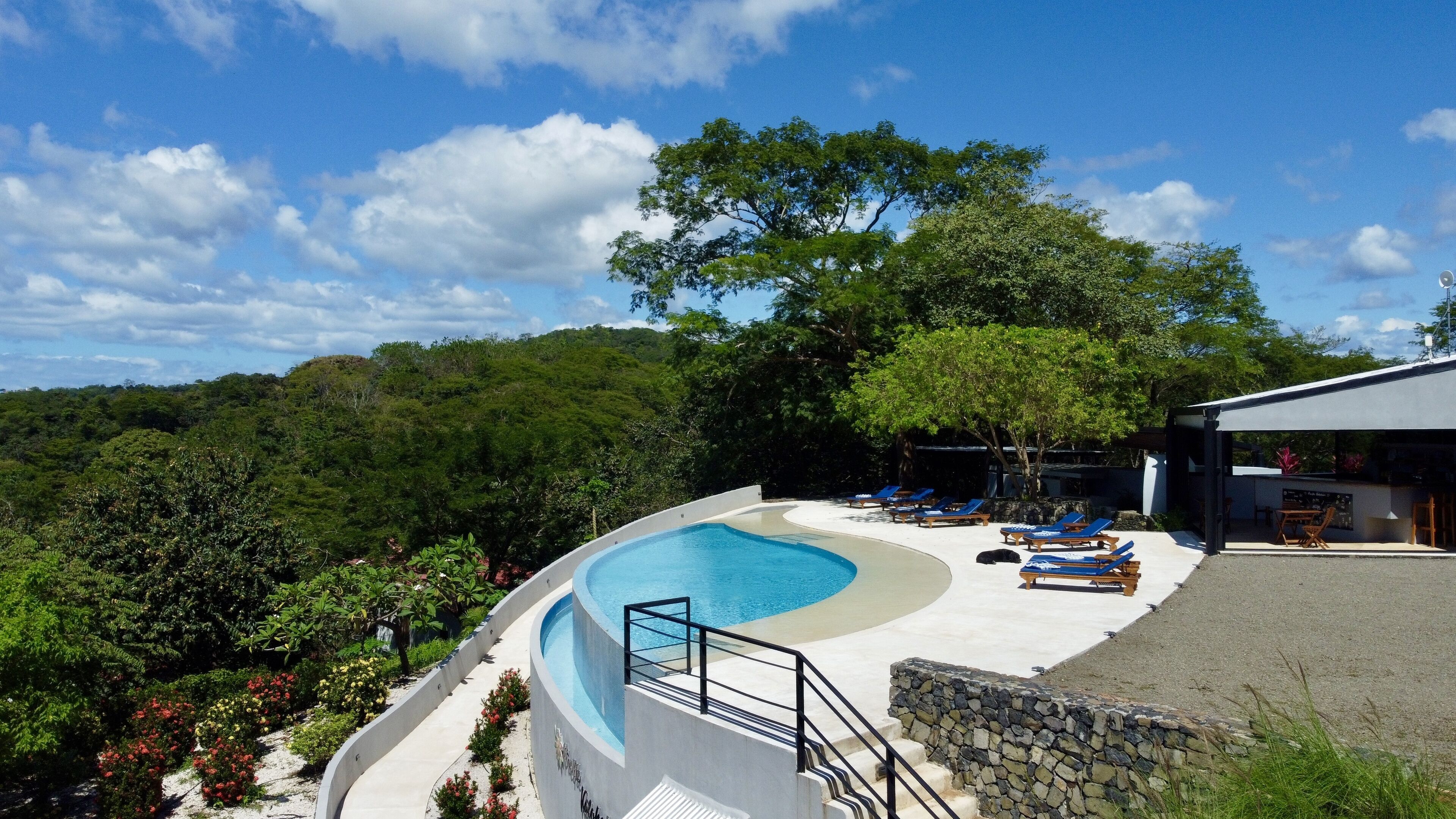 A swimming pool with a curved edge, surrounded by lounge chairs and a stone wall.
