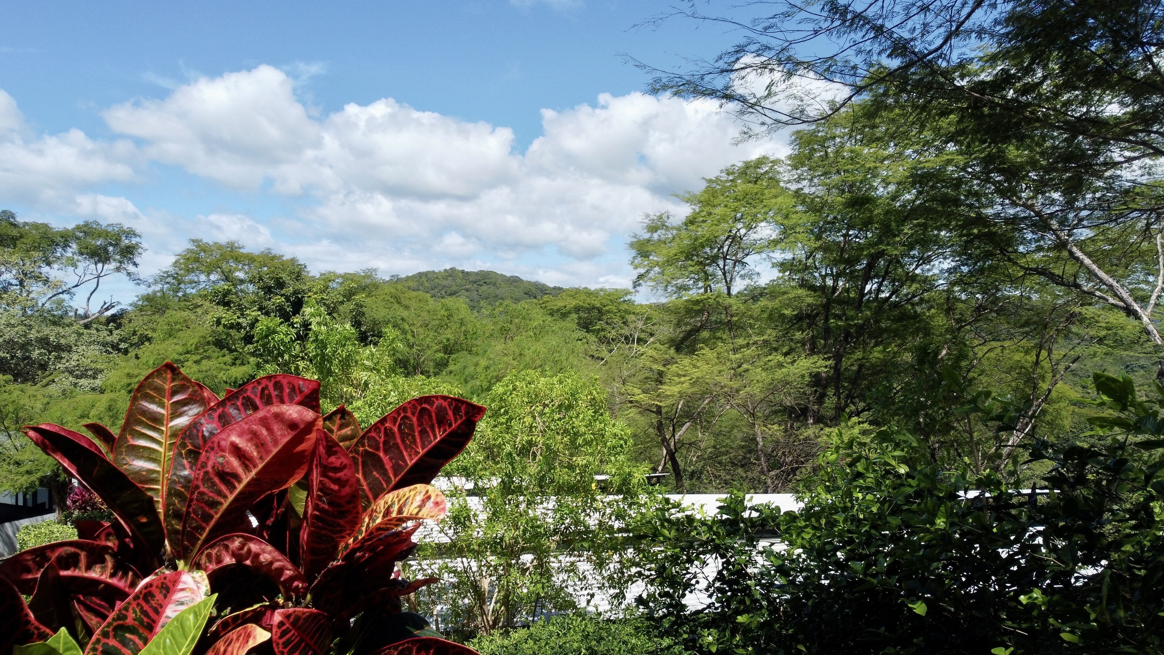 Foto - Pacific Kalokairi - Adults Only