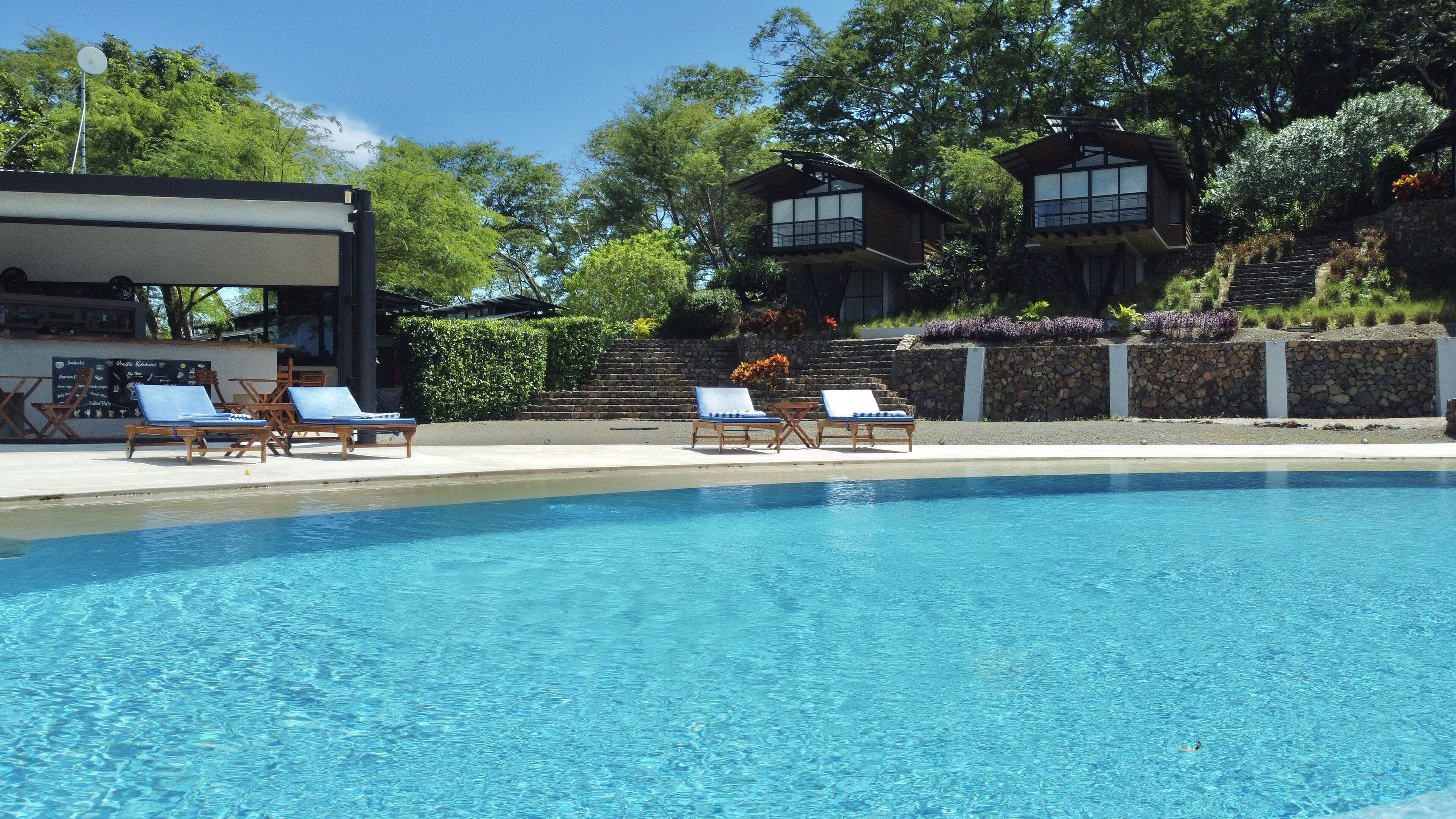 Outdoor pool, pool loungers