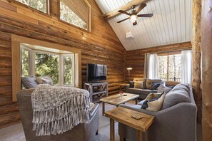 Smart-tv, dvd-afspiller, bøger