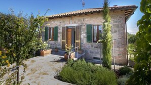 A stone house with a tiled roof, green shutters, and a small garden with potted plants and a tall tree.